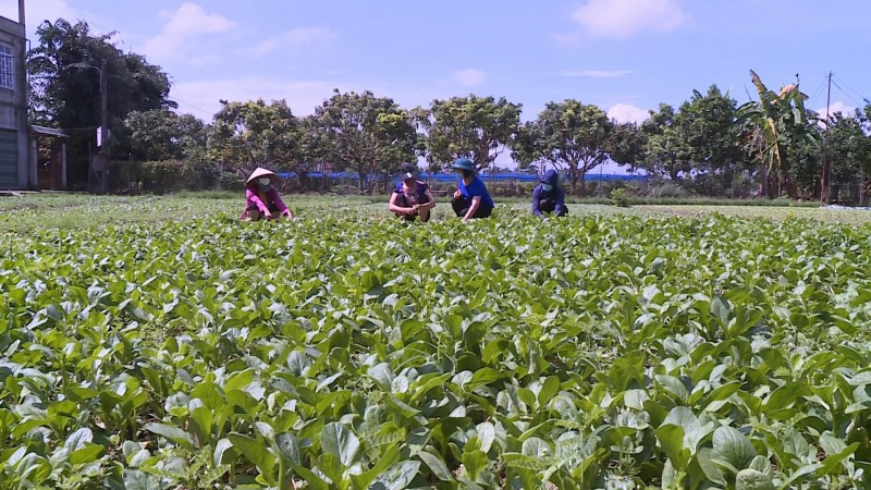 Phát triển nông nghiệp Hà Nội: Cần dựa trên lợi thế thị trường và con người
