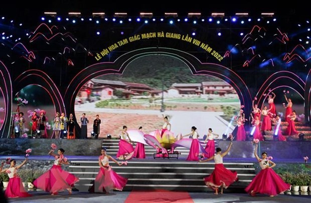 Khai mạc Lễ hội hoa Tam giác mạch &quot;Sức sống cao nguyên đá&quot;  | Lễ hội | Vietnam+ (VietnamPlus)