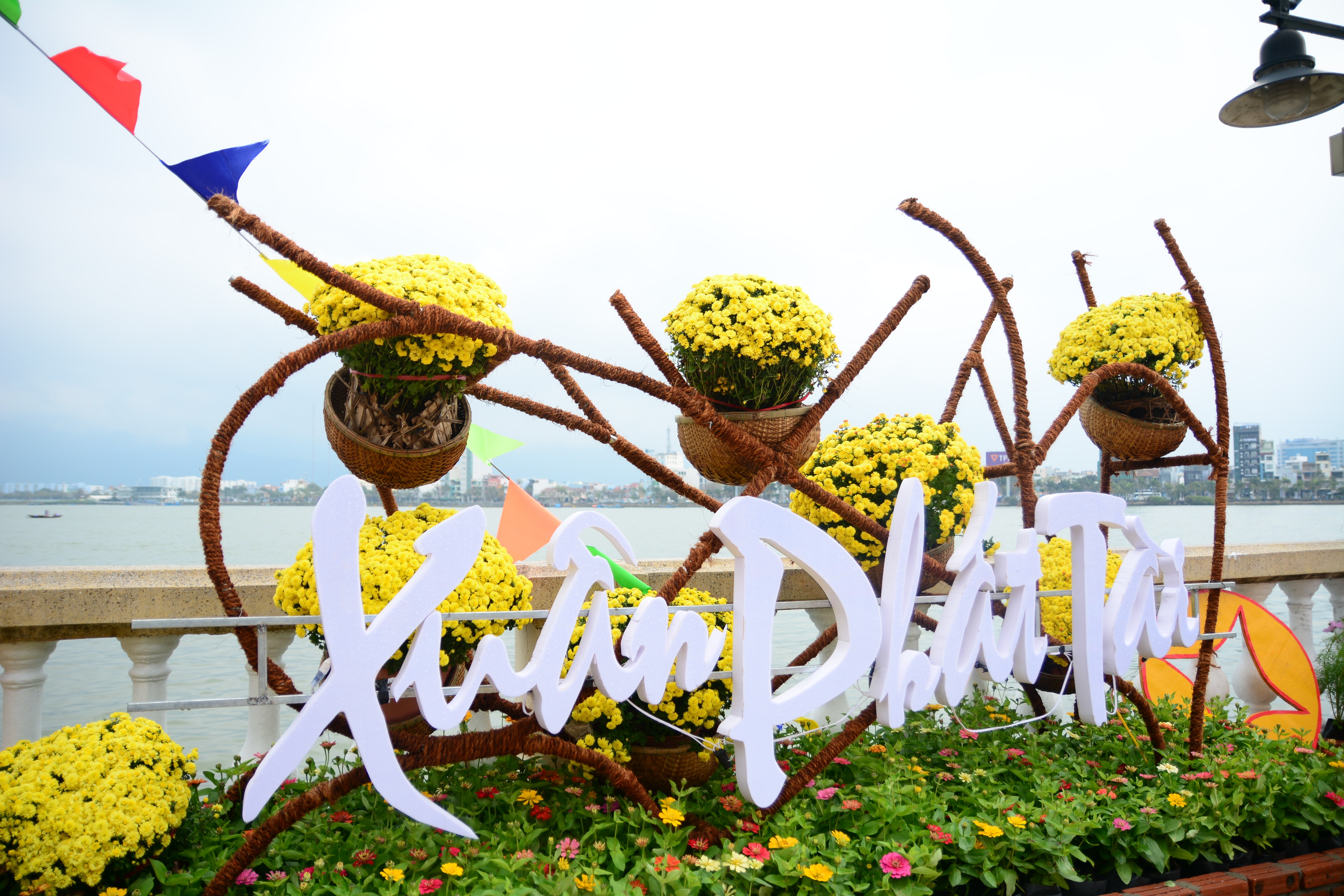 Đà Nẵng sẽ trang trí hoa Tết năm 2024 tại 9 vị trí để tạo điểm