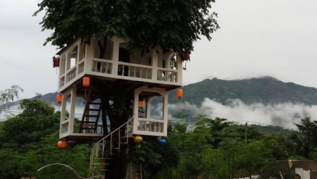 Kỳ lạ ngôi nhà được làm trên cây thị hơn 100 tuổi ở Nha Trang