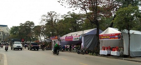 Sơn Tây tổ chức 5 điểm chợ hoa xuân phục vụ Tết Nguyên đán