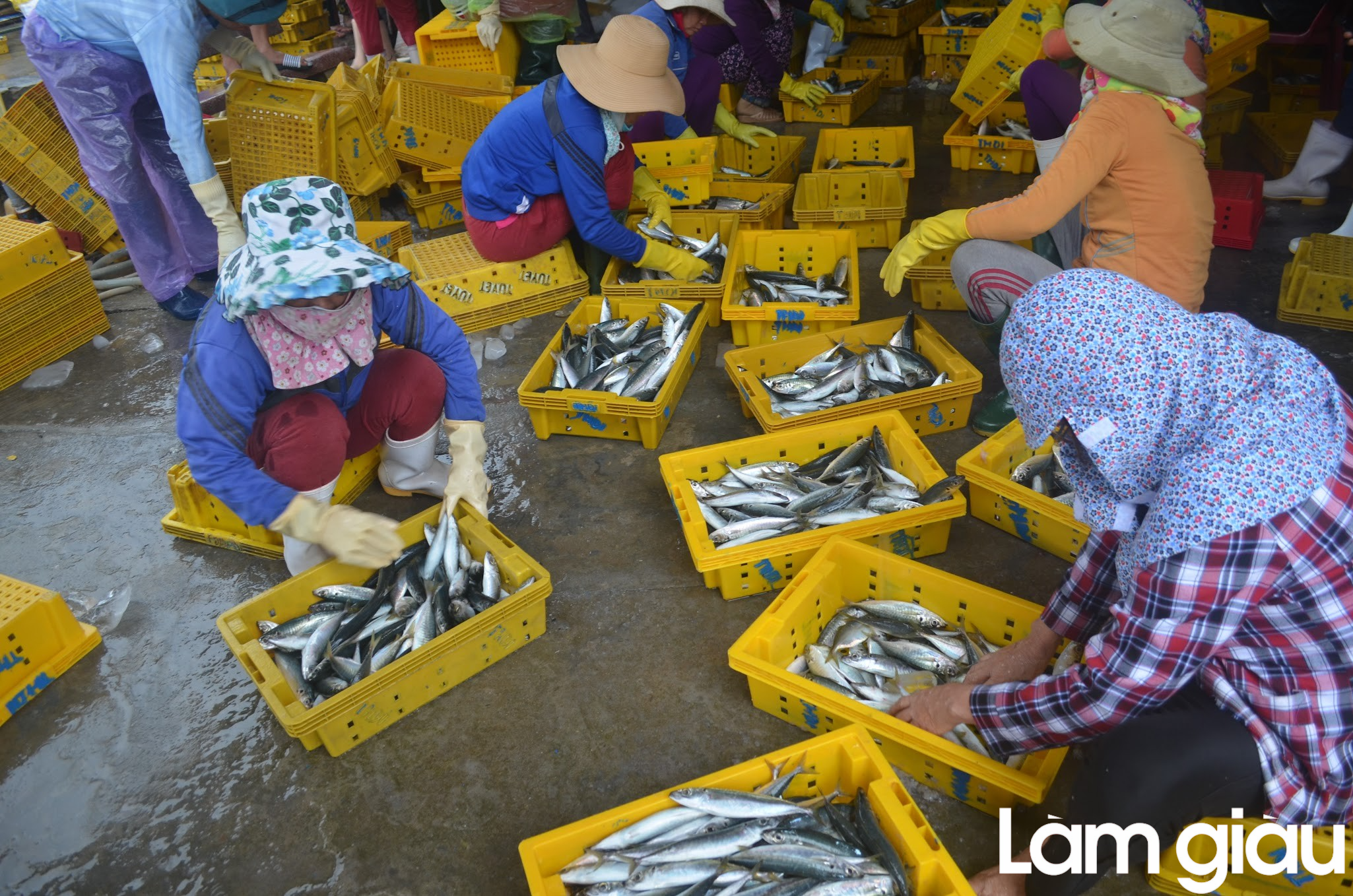 Dự báo ngành thủy sản Việt Nam năm 2023 gặp nhiều khó khăn