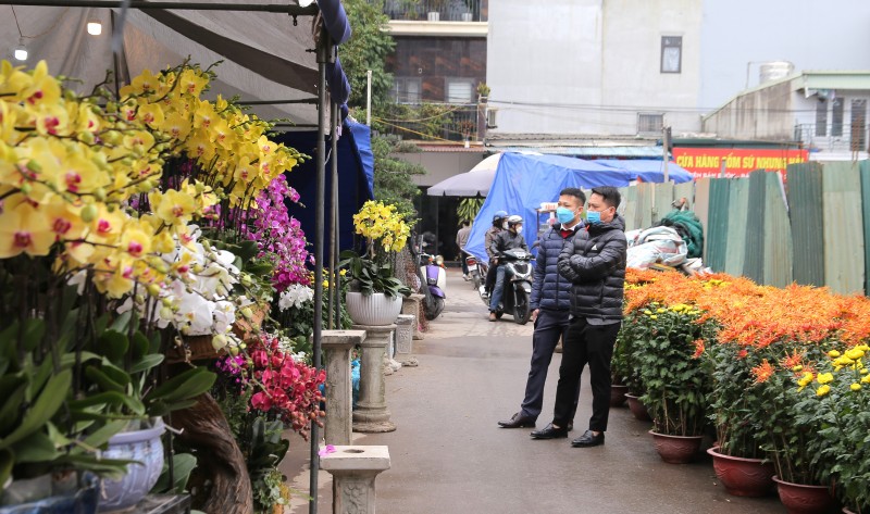 Sắc xuân nơi chợ hoa Vạn Phúc