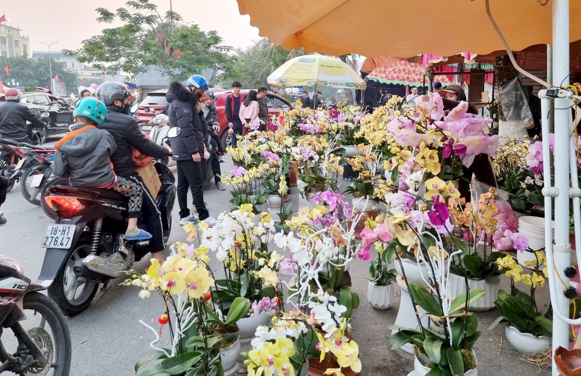 Rộn ràng chợ hoa ngày cuối năm