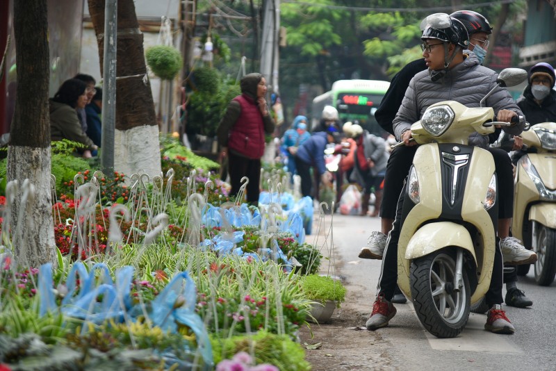 Chợ hoa phố Hoàng Hoa Thám ngày 30 Tết nhộn nhịp người mua, bán