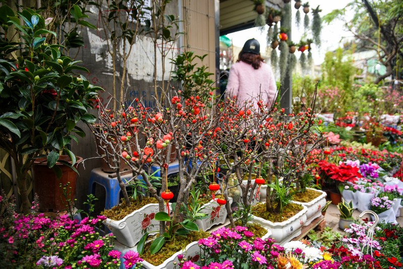 Chợ hoa phố Hoàng Hoa Thám ngày 30 Tết nhộn nhịp người mua, bán