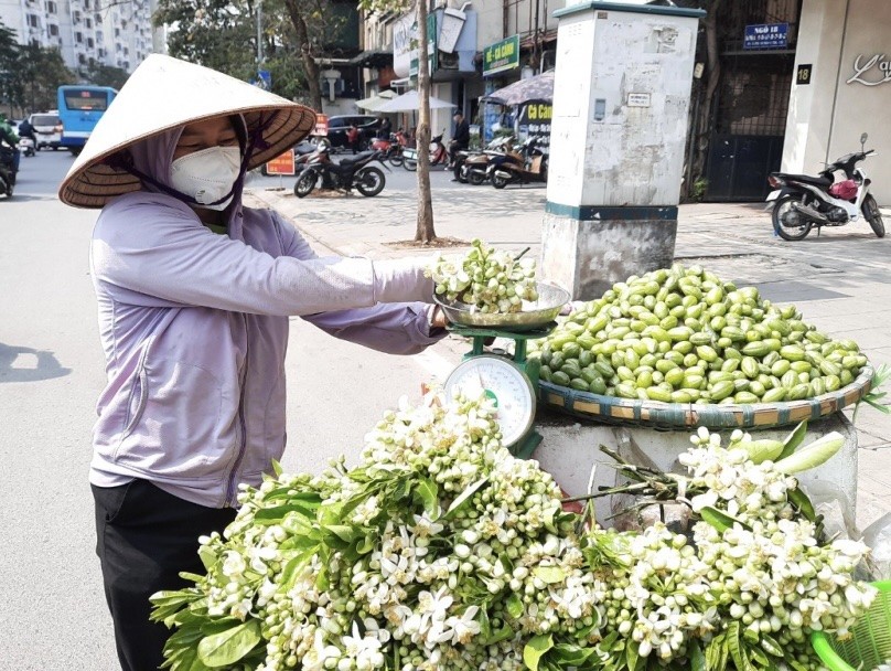 Hoa bưởi xuống phố