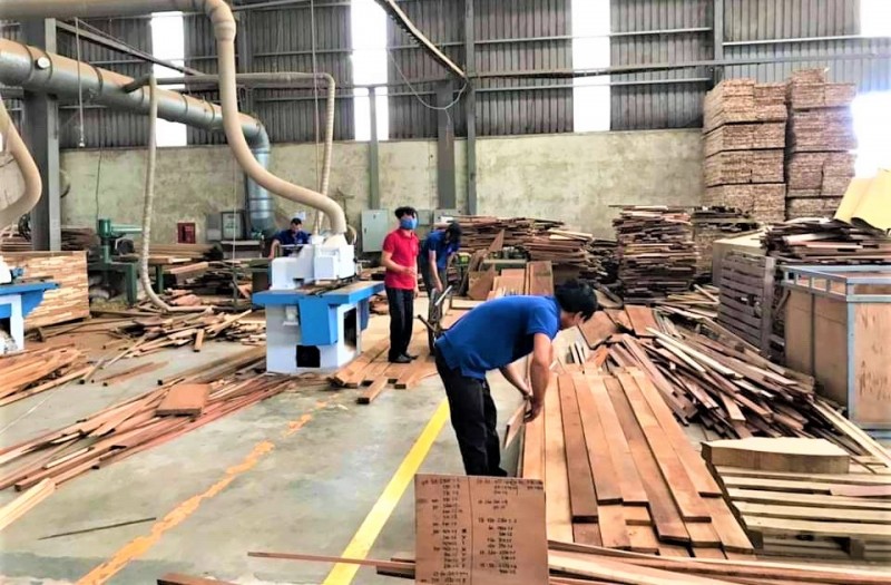 Bộ Tài chính thông tin về hoàn thuế giá trị gia tăng đối với gỗ, cao su