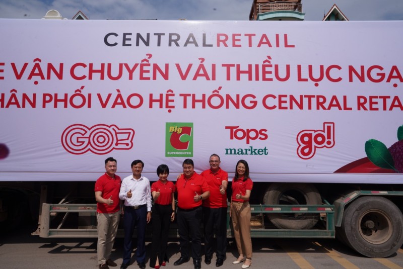 Vải thiều Bắc Giang chính thức xuất hành đến hệ thống phân phối của Central Retail