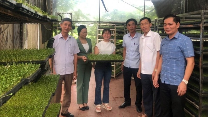 Phấn đấu đưa Hà Nội đi đầu trong phát triển nông nghiệp công nghệ cao