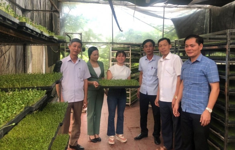 Phấn đấu đưa Hà Nội đi đầu trong phát triển nông nghiệp công nghệ cao