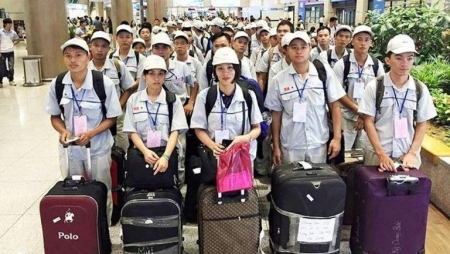 Tăng cơ hội cho lao động Việt Nam đi làm việc ở nước ngoài