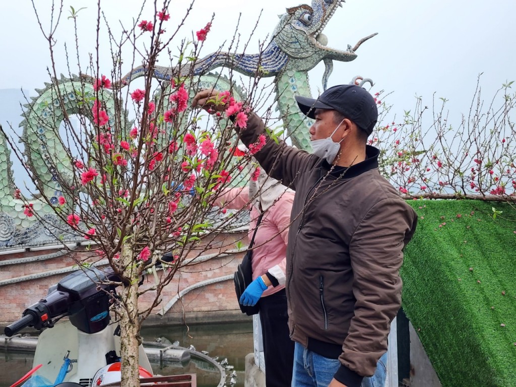Nhộn nhịp chợ hoa Xuân quận Tây Hồ
