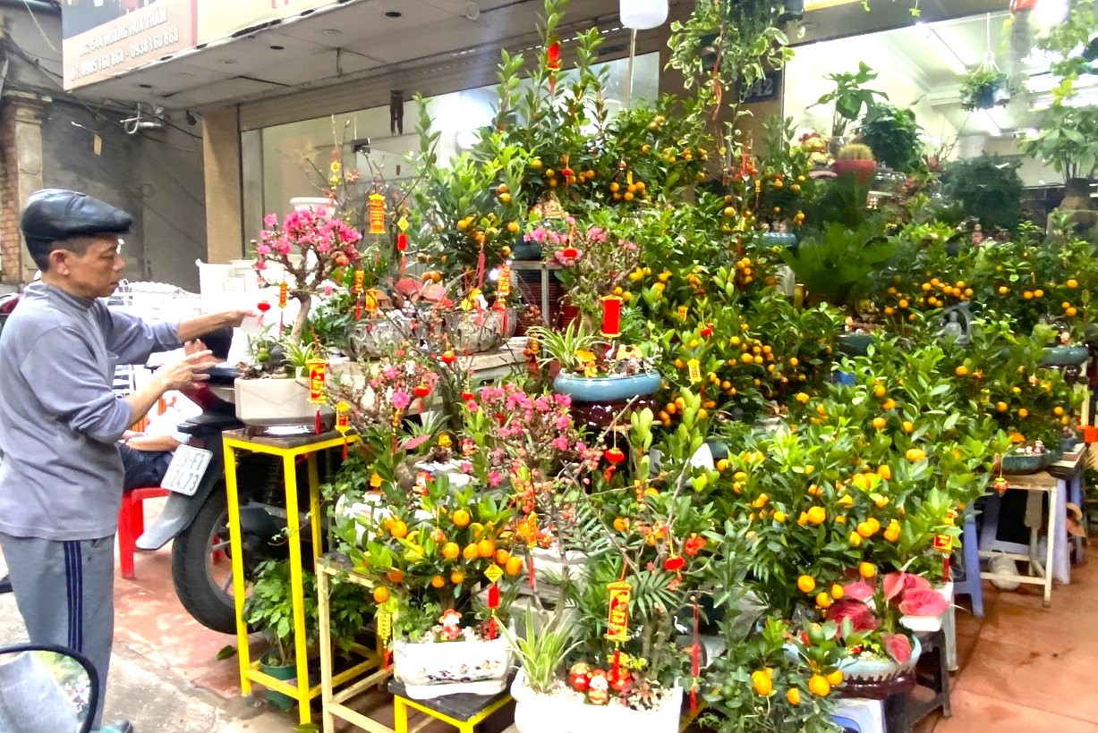 Thị trường hoa cây cảnh để bàn đắt khách