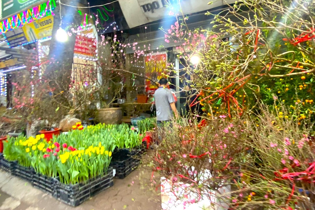 Thị trường hoa cây cảnh để bàn đắt khách