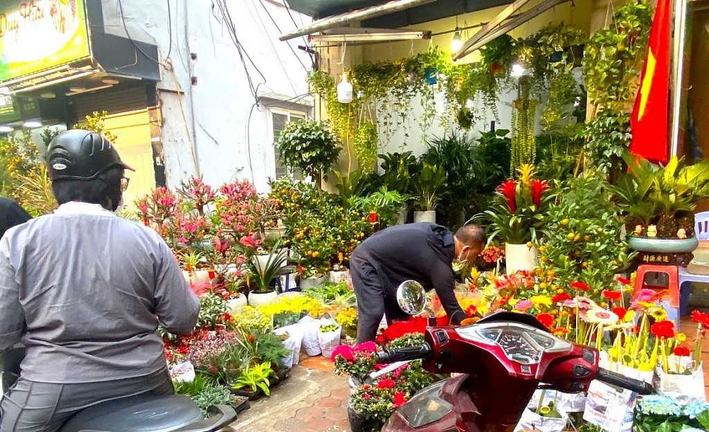 Thị trường hoa cây cảnh để bàn đắt khách những ngày cận Tết