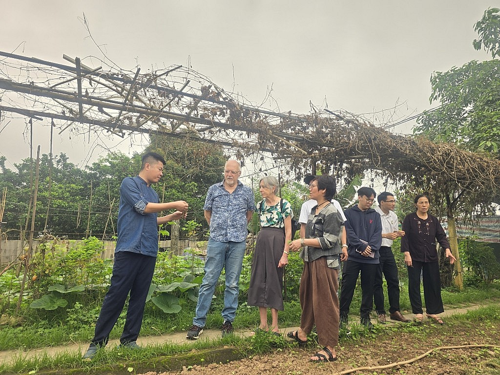 Thích thú trải nghiệm mô hình du lịch nông nghiệp tại Hà Nội