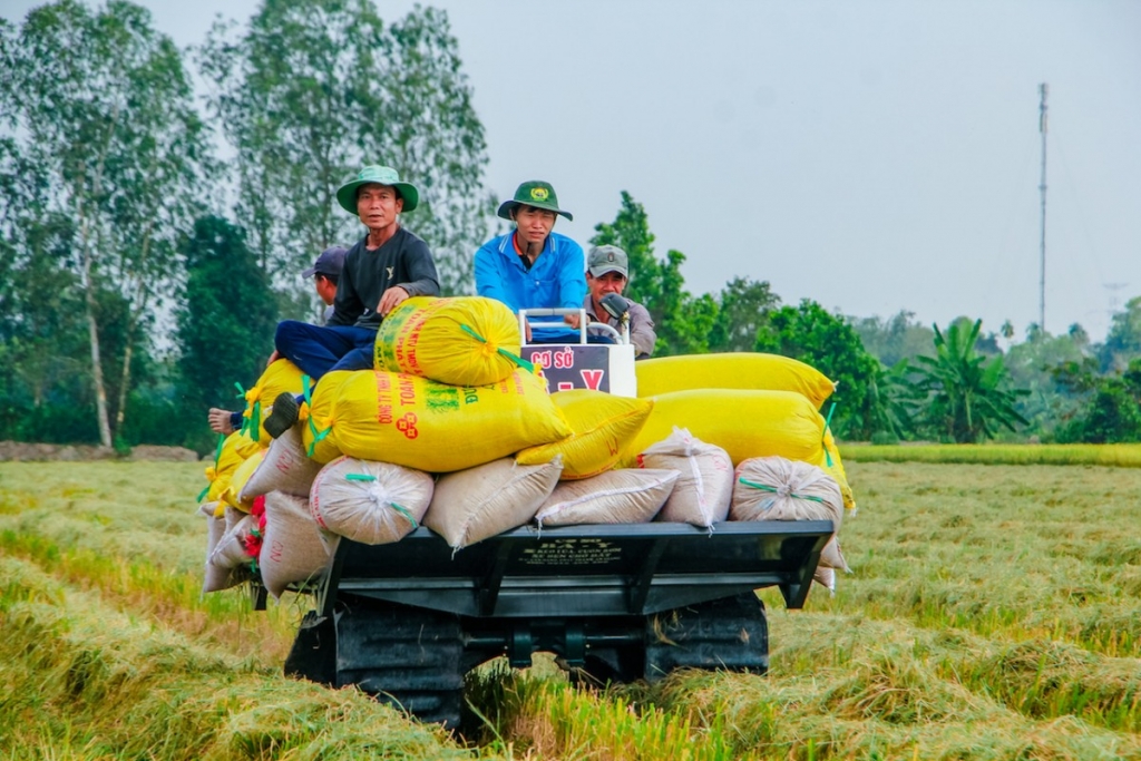 TP.HCM: Đào tạo nghề cho hơn 4.000 lao động nông thôn