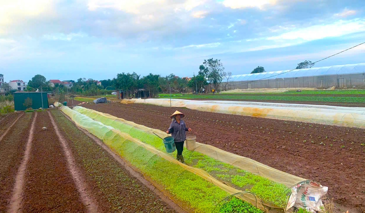 Cùng nông dân bước vào kỷ nguyên số và nông nghiệp xanh