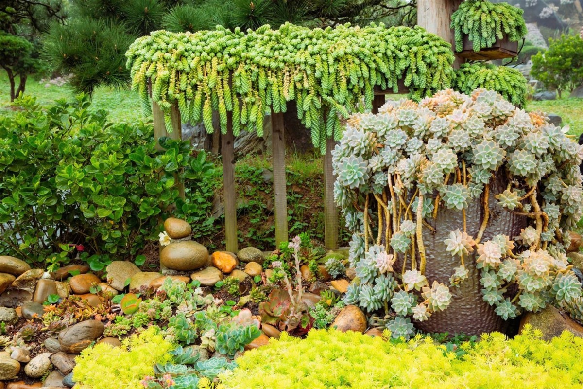 Sun World Fansipan Legend tung ưu đãi “khủng” cho người dân Lào Cai mới