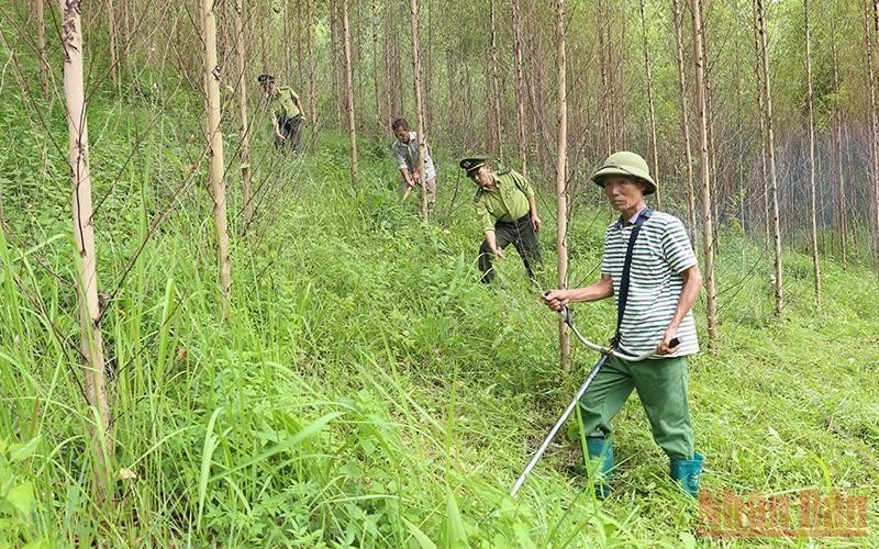 Lực lượng Kiểm lâm phối hợp với chủ rừng đi tuần tra, bảo vệ rừng tại xã Đồng Vương, huyện Yên Thế.