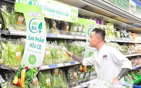 Thêm vốn đầu tư, thị trường bán lẻ Việt Nam chờ cơ hội bùng nổ