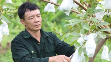 Thương binh vượt khó, chung sức xây dựng bản làng