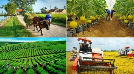 Sản xuất nông nghiệp tăng trưởng trong khó khăn