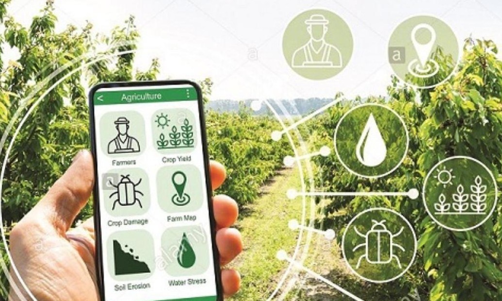 Ứng dụng công nghệ dự báo thị trường nông sản