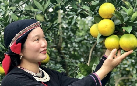 Phát triển nông nghiệp thông minh ở Hà Giang