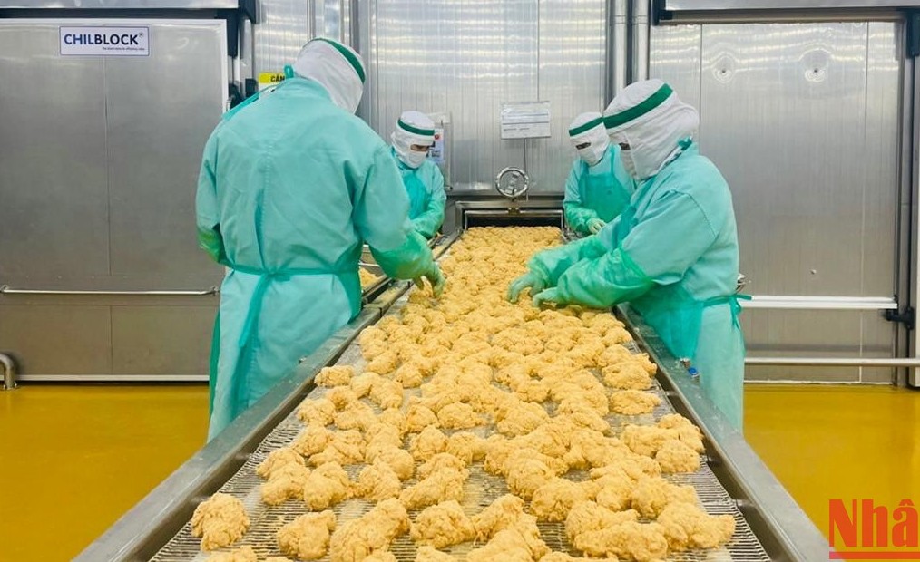 Xuất khẩu thịt gà: Rộng mở cánh cửa sang các thị trường khó tính