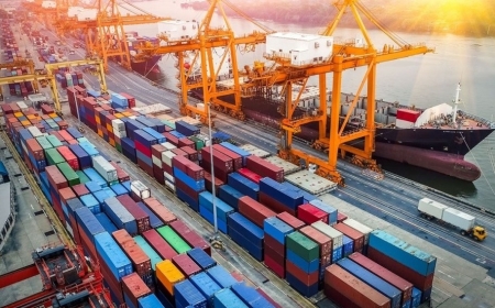 Chính phủ ban hành Chiến lược xuất nhập khẩu hàng hóa