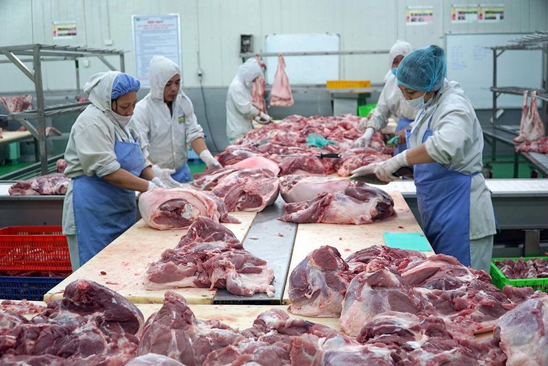 Chế biến thịt lợn tại Công ty thực phẩm Vinh Anh, huyện Thường Tín, Hà Nội. (Ảnh MINH HÀ)